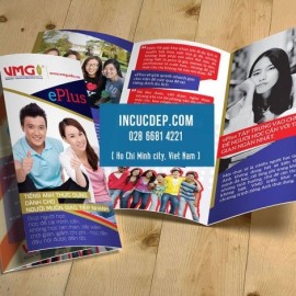 Brochure 04