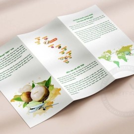 Brochure 05